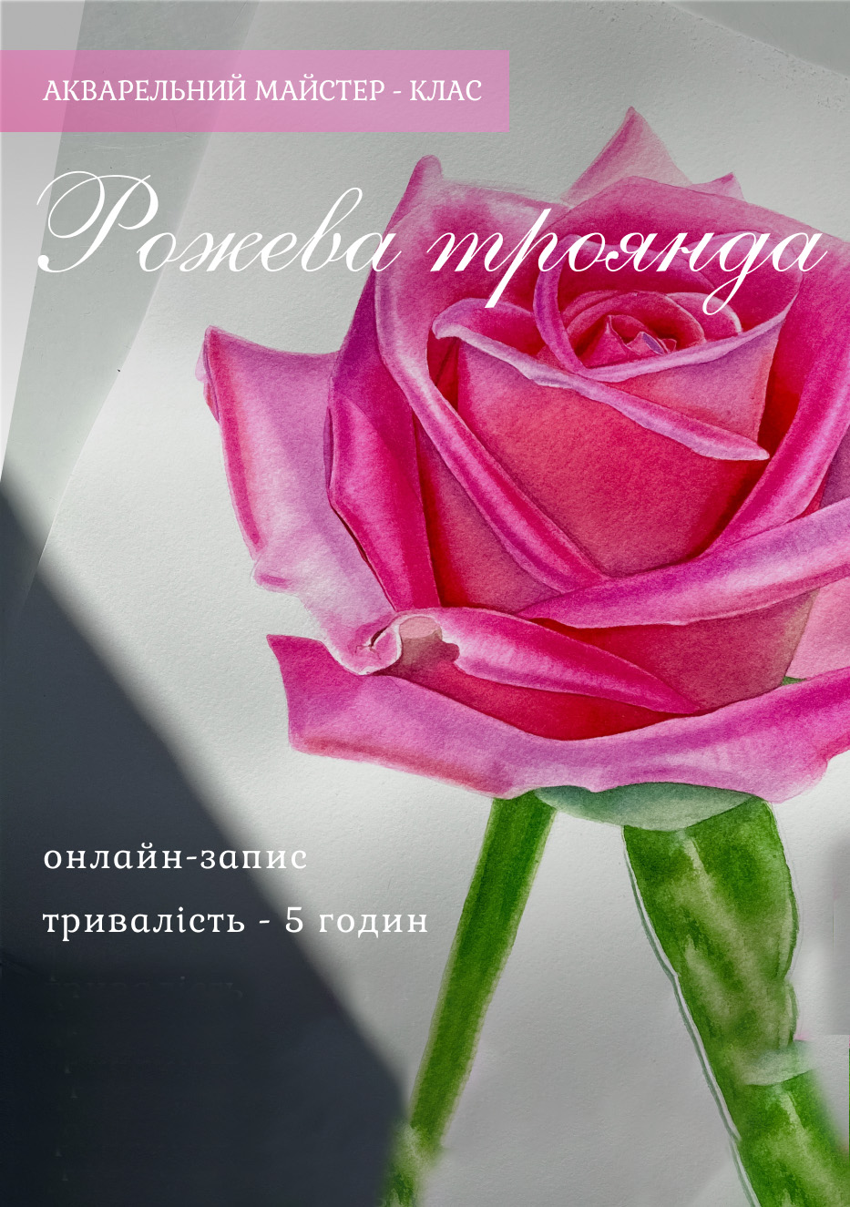 МК “Рожева троянда”